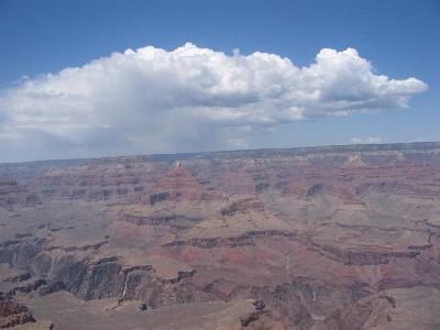 IMG_2055.jpg